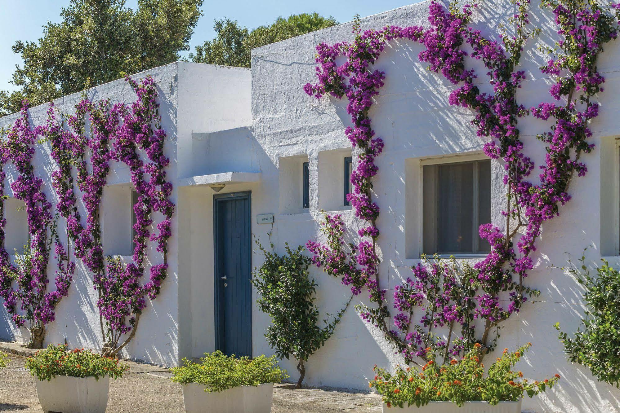 Th Ostuni - Ostuni Village Bagian luar foto
